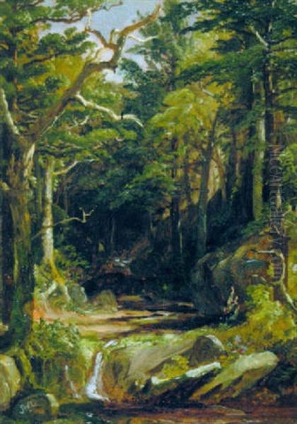 Woodland Brook - view 1