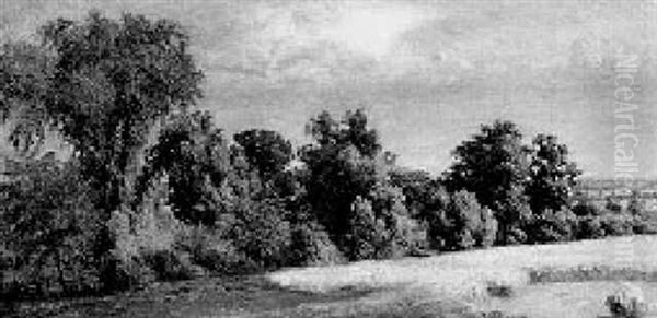 Edge Of The Field - view 1