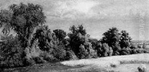 Edge Of The Field by John William Casilear