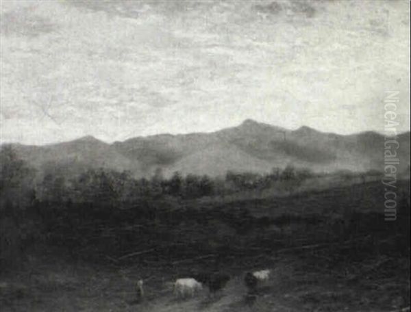 Adirondacks - view 1