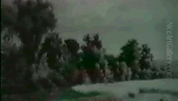 Edge Of A Field - view 1