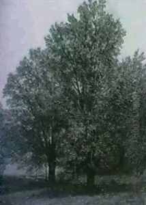Trees