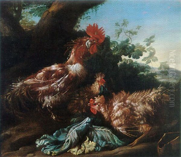 Coq Et Poules - view 1