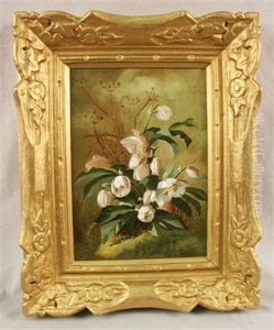 Still Life Of Hellebore