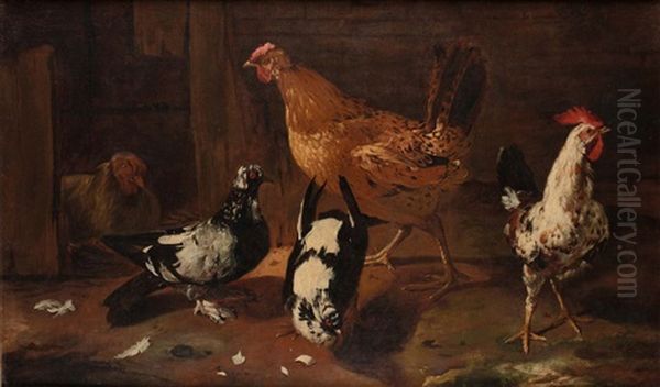 Galline - view 1