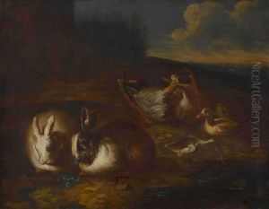 Kaninchen Und Enten Kaninchen Und Enten