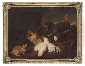 Hens, Turkeys, A Duck And A Rabbit, In A Park Landscape