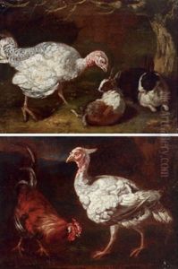 Eine Truthenne Mit Zwei Kaninchen (+ Ein Hahn Mit Einer Truthenne; Pair) by Giovanni Agostino Cassana