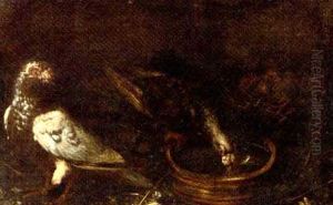 Two Pigeons, One At A Water Bowl With Two Squabs In A Nest by Giovanni Agostino Cassana