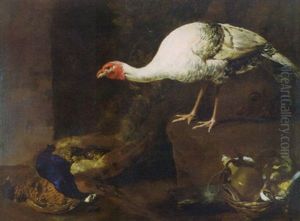 Tacchino Bianco Con Pennuti by Giovanni Agostino Cassana