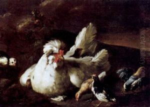 Eine Glucke Mit Ihren Kuken by Giovanni Agostino Cassana