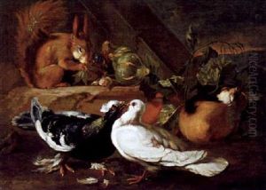 Zwei Tauben Und Ein Eichhorchen In Einer Landschaft by Giovanni Agostino Cassana