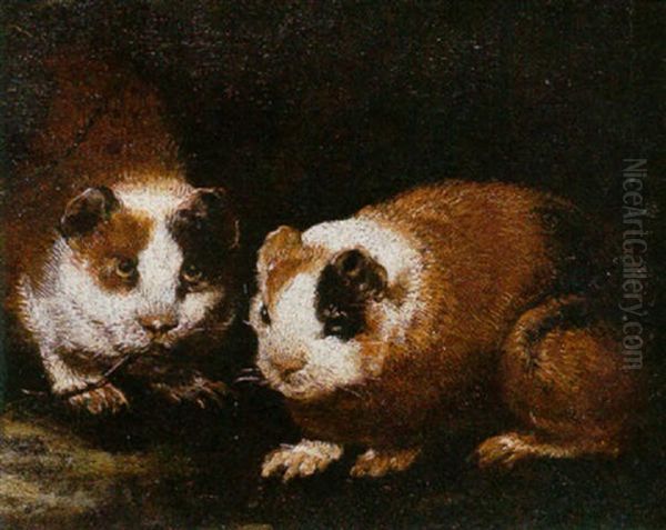 Guinea Pigs - view 1