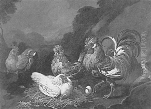 Roosters, Chickens And A Turkey In A Landscape - view 1
