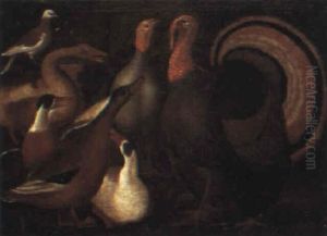 Study Of Ducks, Geese, A Dove And Turkeys by Giovanni Agostino Cassana