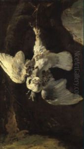 Weise Taube Vor Einer Felswand by Giovanni Agostino Cassana