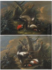 Oiseaux Sur Fond De Paysage (pair) by Niccolo Cassana