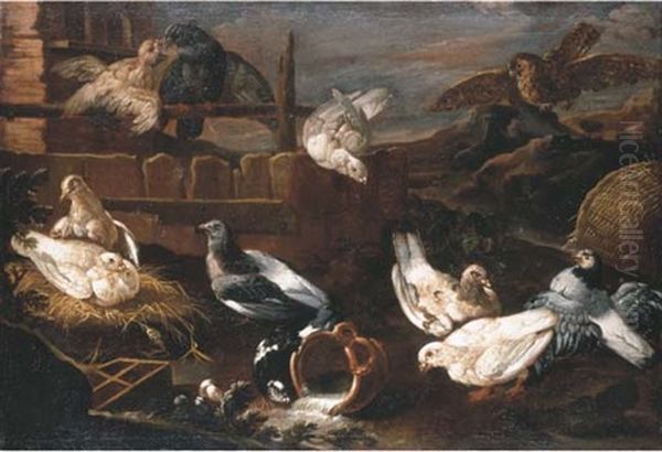 Doves Nesting And A Falcon In A Mountainous Landscape - view 1