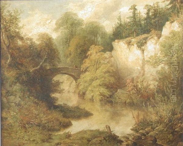 The Cutler Burn At Petercultur, Aberdeenshire - view 1