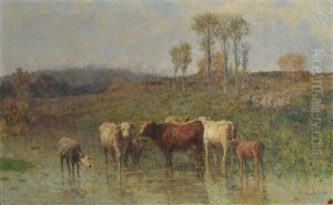 Mucche Al Pascolo Mucche Al Pascolo