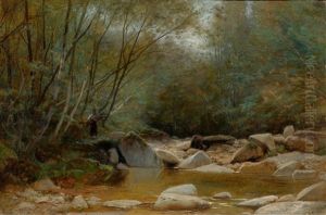 Forest Stream Forest Stream