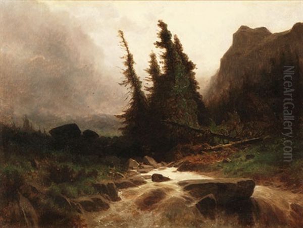 Wildbach In Gebirgstal - view 1