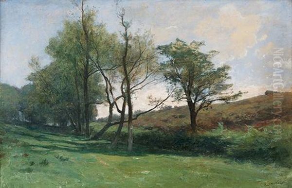 Paysage De Printemps - view 1