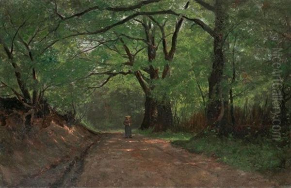 Paysage De Foret En Ete - view 1