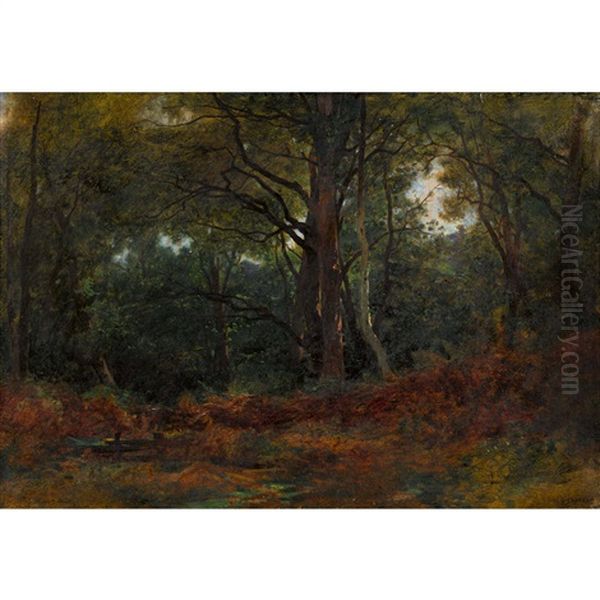 Waldlandschaft - view 1