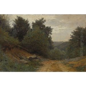 Der Waldweg Der Waldweg