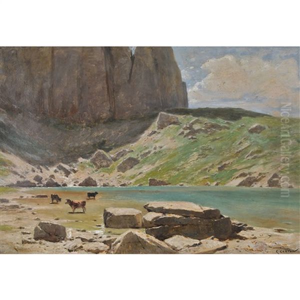 Weidende Kuhe Am Sonnigen Bergsee - view 1