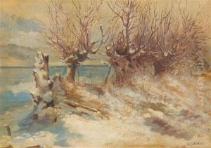 Schneelandschaft Wohl Am Genfersee