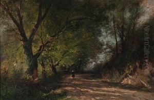 Sonnenbeschienener Waldweg Mit Spaziergangerin