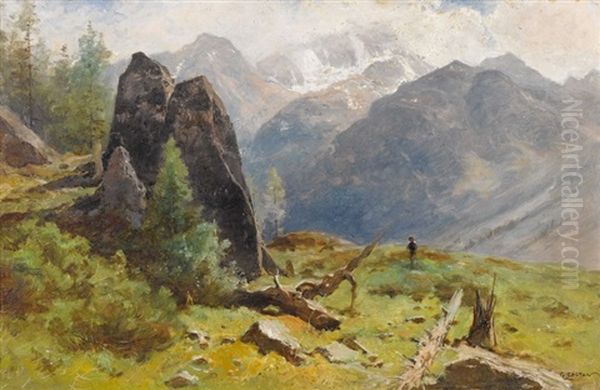 Sonnige Bergpartie Mit Wandersmann - view 1