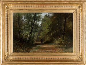 Elegante A L'ombrelle Dans Un Sous-bois