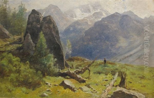 Paysage De Montagne - view 1