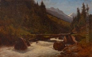 Riviere De Montagne