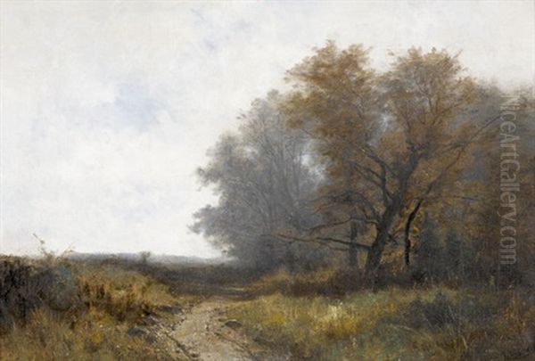 Feldweg In Baumbestandener Landschaft - view 1