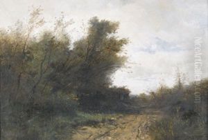 Landstrasse Mit Buschen