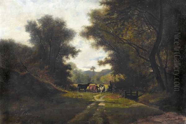 Sonnige Waldlichtung Mit Kuhen - view 1