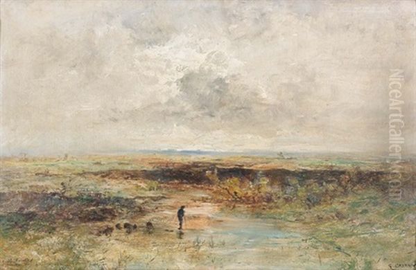 Landschaft Mit Schafer In Der Abenddammerung - view 1
