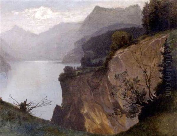 Lac Des Quatre-cantons - view 1