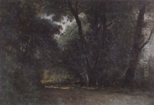 Strasse Im Wald Strasse Im Wald