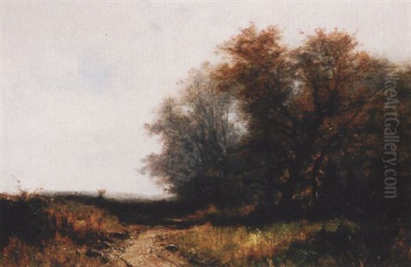 Bewaldete Landschaft - view 1