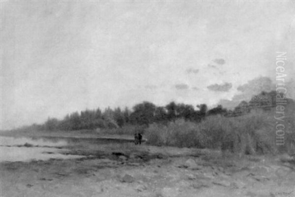 Abendstimmung Am Neuenburgersee - view 1