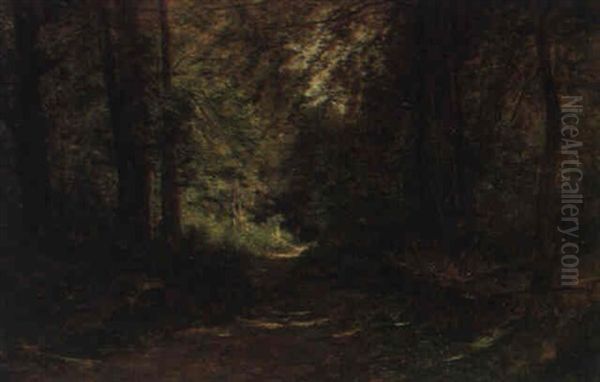 Holzarbeiter Im Wald - view 1