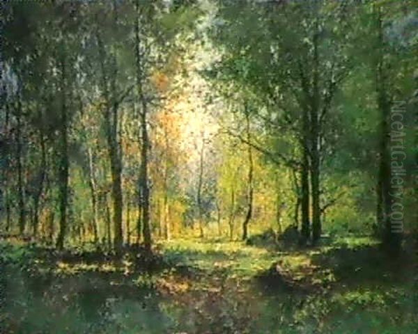 Herbstliche Waldlandschaft - view 1