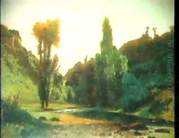 Sommerliche Flusslandschaft - view 1