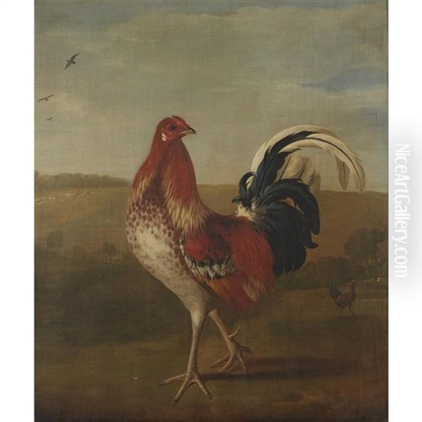 Rooster In A Landscape - view 1