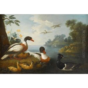Waterfowl In A Landscape (pair) by Pieter Casteels III